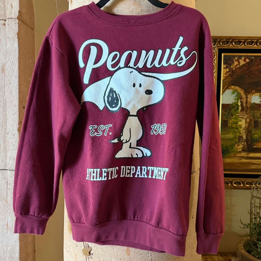 Peanuts Snoopy & Woodstock 2 piece sweatsuit set xs burgundy